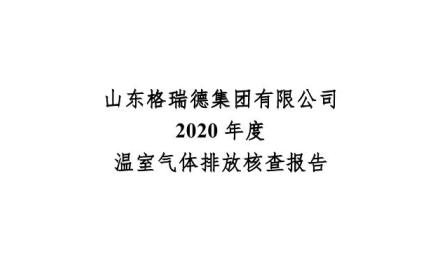 山東格瑞德集團有限公司-核查報告-2020年度